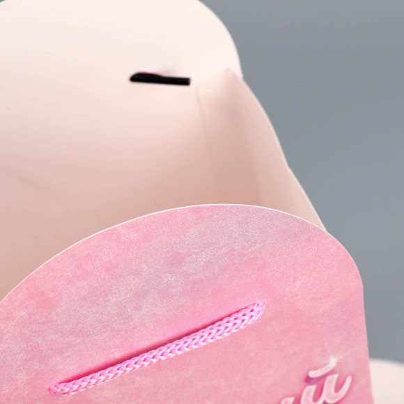 Подарочный пакет «Лучший подарок» - 25×36×10 см. Подарочный пакет «Лучший подарок» - 25×36×10 см.