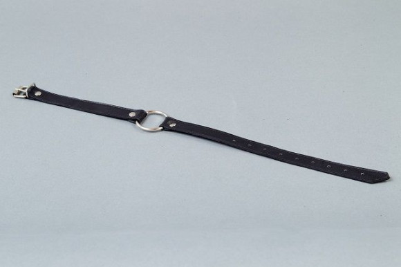 Кляп-расширитель с металлическим кольцом Кляп-расширитель с металлическим кольцом