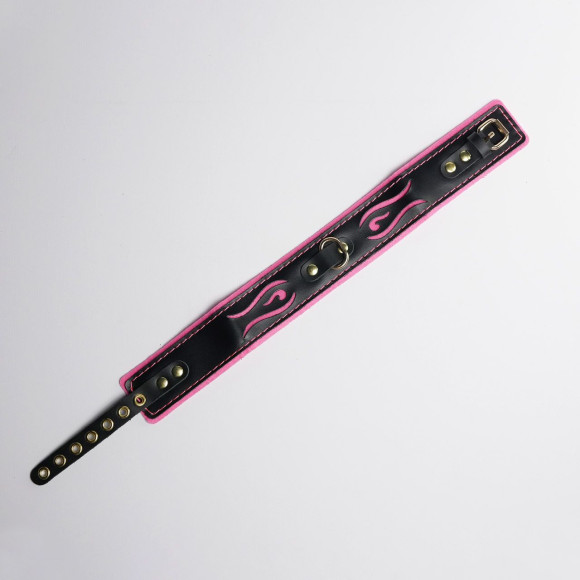 Черно-розовый ошейник с золотистой фурнитурой Черно-розовый ошейник с золотистой фурнитурой