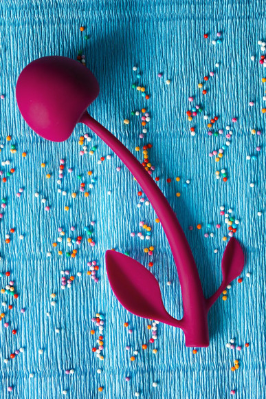 Бордовая вагинальная вишенка WILD CHERRY - 14,5 см. Бордовая вагинальная вишенка WILD CHERRY - 14,5 см.