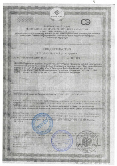 БАД для мужчин Вигор Али+ - 10 капсул (0,3 гр.) БАД для мужчин Вигор Али+ - 10 капсул (0,3 гр.)