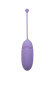 Сиреневое виброяйцо Mata Hari с пультом ДУ Сиреневое виброяйцо Mata Hari с пультом ДУ